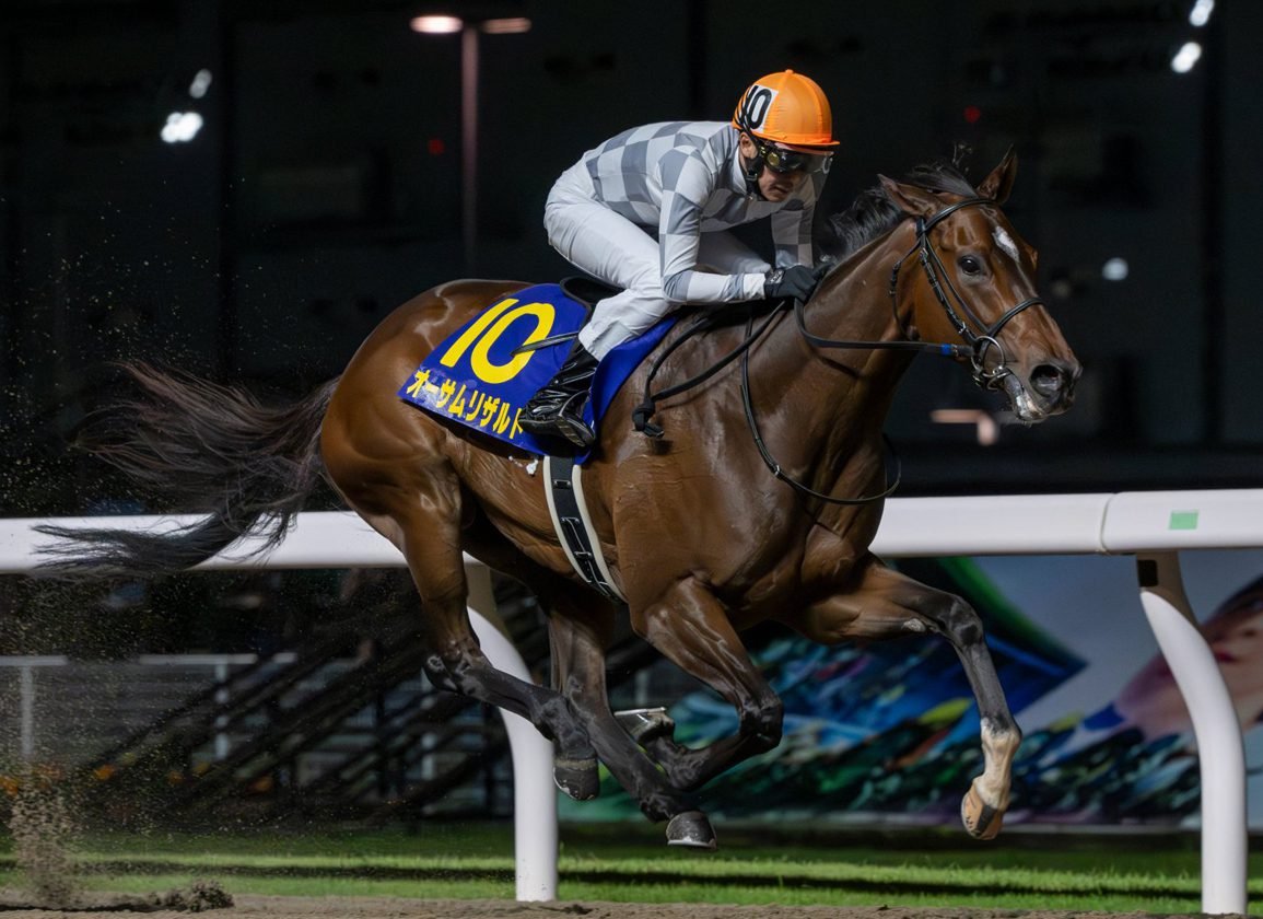 🏇 가와사키 경마장 (카와사키 케이바조) 이미지 11